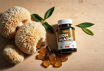 A Beginner’s Guide to Lion’s Mane Gummies: What to Expect and How to Start